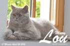 Mary Lou ist 13 Monate alt ( 24.04.2016 )