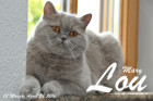 Mary Lou ist 13 Monate alt ( 24.04.2016 )