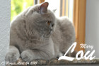 Mary Lou ist 13 Monate alt ( 24.04.2016 )