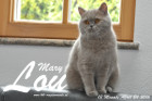 Mary Lou ist 13 Monate alt ( 24.04.2016 )