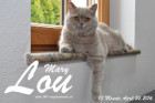 Mary Lou ist 13 Monate alt ( 24.04.2016 )