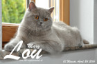 Mary Lou ist 13 Monate alt ( 24.04.2016 )