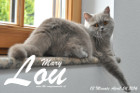 Mary Lou ist 13 Monate alt ( 24.04.2016 )