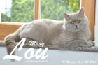 Mary Lou ist 13 Monate alt ( 24.04.2016 )
