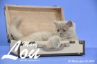 Mary Lou ist 13 Wochen alt geworden (03.06.2015)