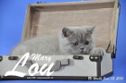 Mary Lou ist 13 Wochen alt geworden (03.06.2015)