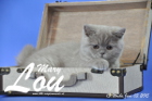 Mary Lou ist 13 Wochen alt geworden (03.06.2015)