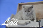 Mary Lou ist 13 Wochen alt geworden (03.06.2015)