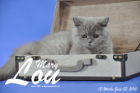 Mary Lou ist 13 Wochen alt geworden (03.06.2015)