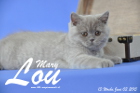 Mary Lou ist 13 Wochen alt geworden (03.06.2015)