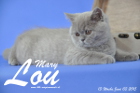 Mary Lou ist 13 Wochen alt geworden (03.06.2015)