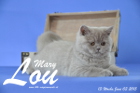 Mary Lou ist 13 Wochen alt geworden (03.06.2015)