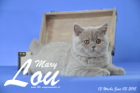 Mary Lou ist 13 Wochen alt geworden (03.06.2015)