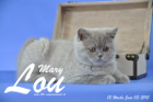 Mary Lou ist 13 Wochen alt geworden (03.06.2015)