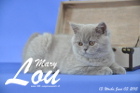 Mary Lou ist 13 Wochen alt geworden (03.06.2015)
