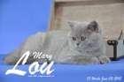 Mary Lou ist 13 Wochen alt geworden (03.06.2015)