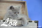 Mary Lou ist 13 Wochen alt geworden (03.06.2015)