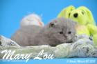 Mary Lou ist 3 Wochen alt geworden (28.03.2015)
