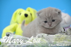 Mary Lou ist 3 Wochen alt geworden (28.03.2015)