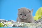 Mary Lou ist 3 Wochen alt geworden (28.03.2015)