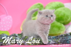 Mary Lou ist 5 Wochen alt geworden (12.04.2015)