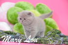 Mary Lou ist 5 Wochen alt geworden (12.04.2015)