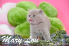 Mary Lou ist 5 Wochen alt geworden (12.04.2015)