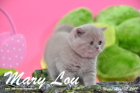 Mary Lou ist 5 Wochen alt geworden (12.04.2015)