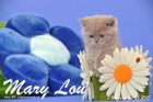 Mary Lou ist 7 Wochen alt geworden (26.04.2015)