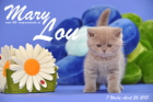 Mary Lou ist 7 Wochen alt geworden (26.04.2015)