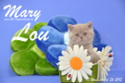 Mary Lou ist 7 Wochen alt geworden (26.04.2015)
