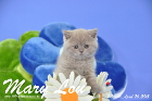 Mary Lou ist 7 Wochen alt geworden (26.04.2015)