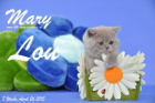 Mary Lou ist 7 Wochen alt geworden (26.04.2015)