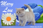 Mary Lou ist 7 Wochen alt geworden (26.04.2015)