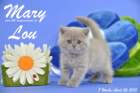 Mary Lou ist 7 Wochen alt geworden (26.04.2015)