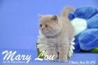 Mary Lou ist 7 Wochen alt geworden (26.04.2015)