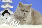 Weihnachtsfotos von Mary Lou, sie ist 9 Monate alt