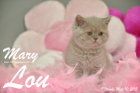 Mary Lou ist 9 Wochen alt geworden (10.05.2015)