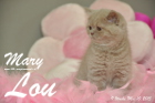 Mary Lou ist 9 Wochen alt geworden (10.05.2015)