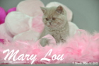 Mary Lou ist 9 Wochen alt geworden (10.05.2015)