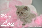 Mary Lou ist 9 Wochen alt geworden (10.05.2015)