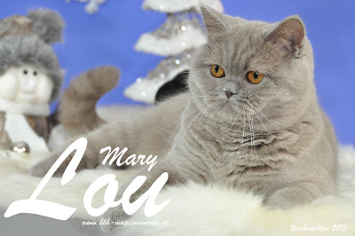 Weihnachtsfotos von Mary Lou, sie ist 9 Monate alt