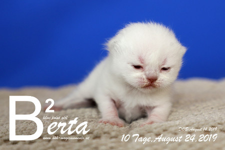 Berta ist 10 Tage alt ( 24.08.2019 )