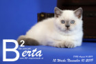 Berta ist 12 Wochen alt ( 10.11.2019 )