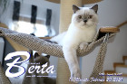 Berta ist 18 Monate alt ( 20.02.2021 )