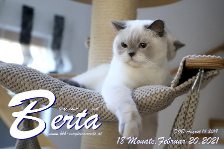 Berta ist 18 Monate alt ( 20.02.2021 )