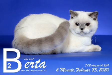Berta ist 6 Monate alt ( 23.02.2020 )