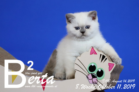 Berta ist 8 Wochen alt ( 11.10.2019 )