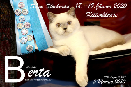 Für Berta ist es ihre 1.Show in der Kitten-Klasse an der sie teilnimmt