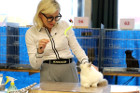 Berta bei Tica Richterin Katharina Krenn aus Österreich